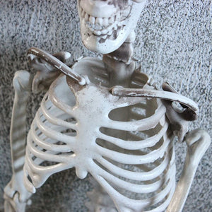 Halloween Posable Skeleton Prop 5ft Funny Giant Yard Skull Decor