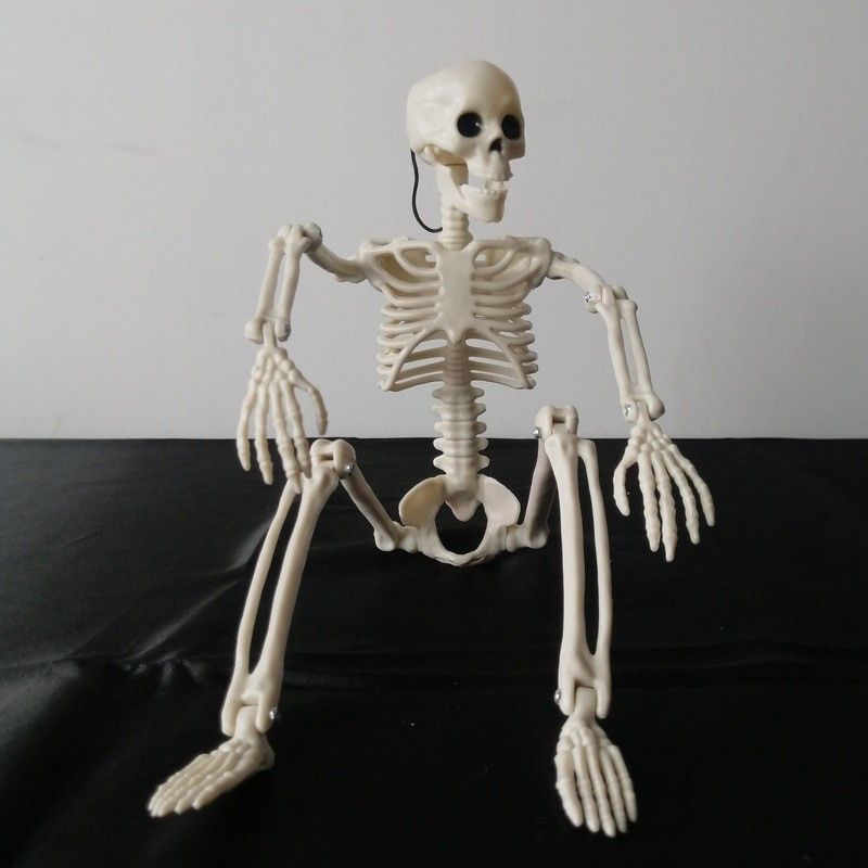 Halloween Posable Skeleton Prop 5ft Funny Giant Yard Skull Decor